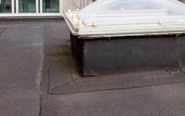 disadvantages of Hafodyrynys flat roofs